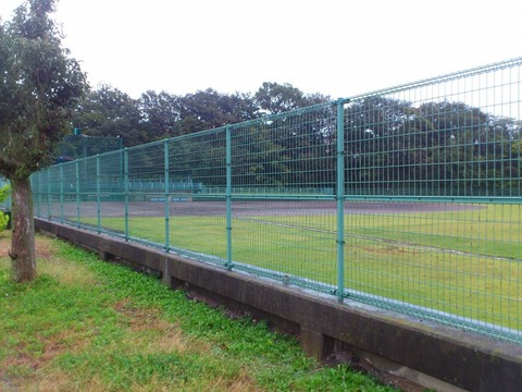 1383460_548341691911939_1214181005_n