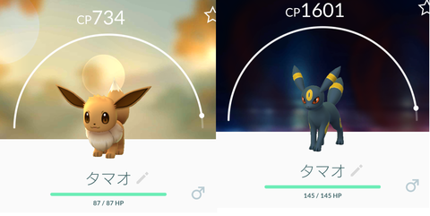 Screenshot_20170217-184431